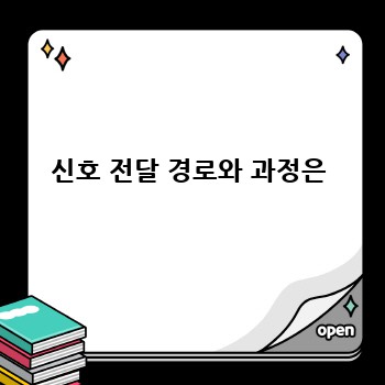 신호 전달 경로와 과정은