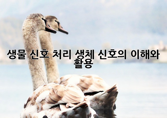 생물 신호 처리: 생체 신호의 이해와 활용
