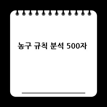 농구 규칙 분석 500자