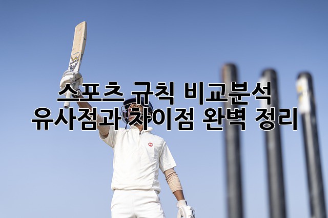 스포츠 규칙 비교분석: 유사점과 차이점 완벽 정리