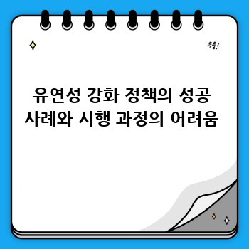 유연성 강화 정책의 성공 사례와 시행 과정의 어려움