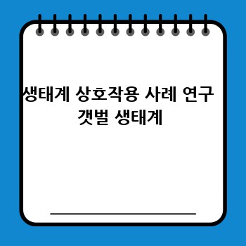 생태계 상호작용 사례 연구  갯벌 생태계