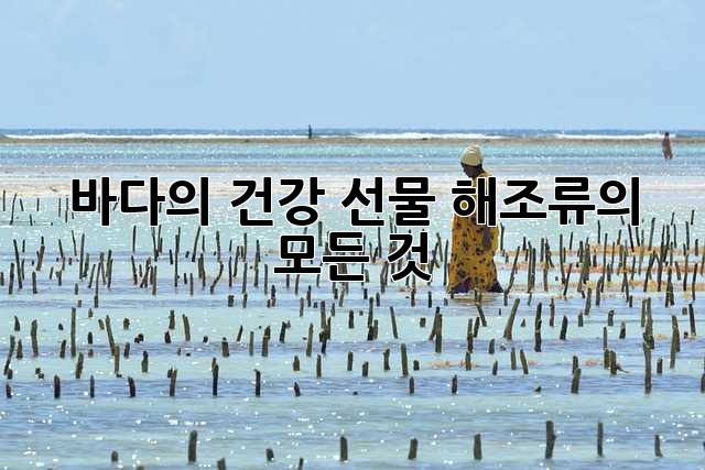 바다의 건강 선물, 해조류의 모든 것!