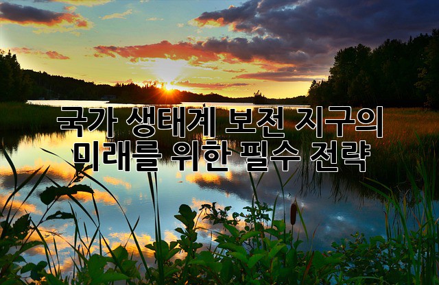 국가 생태계 보전: 지구의 미래를 위한 필수 전략
