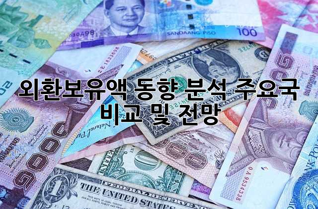 외환보유액 동향 분석: 주요국 비교 및 전망