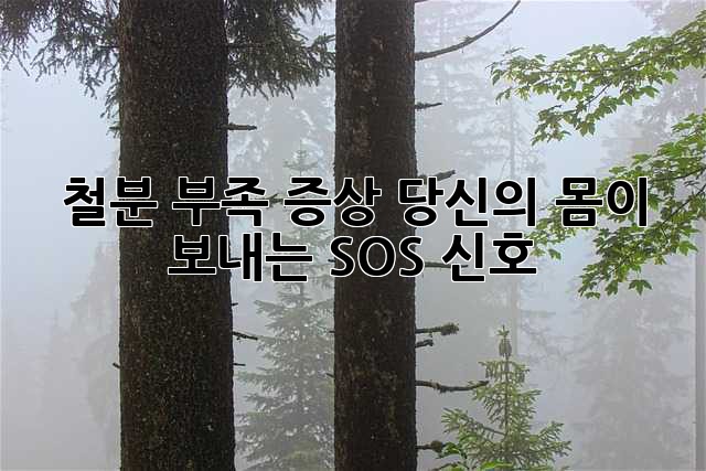 철분 부족 증상, 당신의 몸이 보내는 SOS 신호