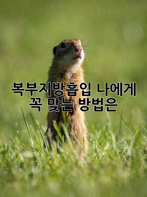 복부지방흡입: 나에게 꼭 맞는 방법은?