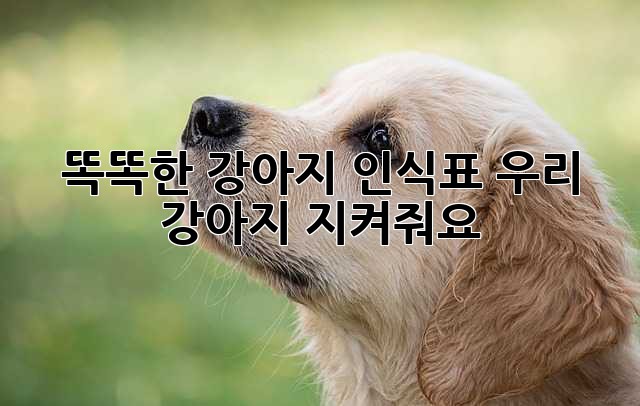 똑똑한 강아지 인식표, 우리 강아지 지켜줘요!