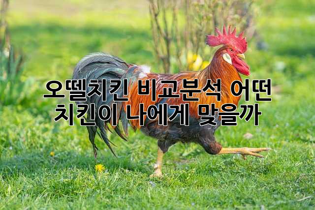 오뗄치킨 비교분석: 어떤 치킨이 나에게 맞을까?