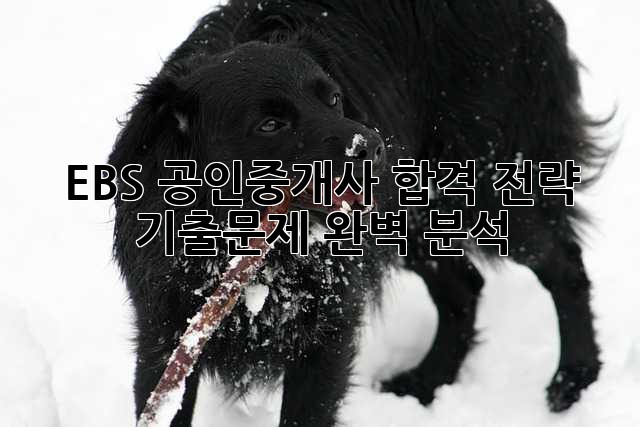 EBS 공인중개사 합격 전략: 기출문제 완벽 분석!