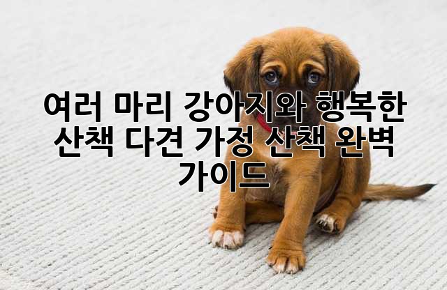 여러 마리 강아지와 행복한 산책: 다견 가정 산책 완벽 가이드