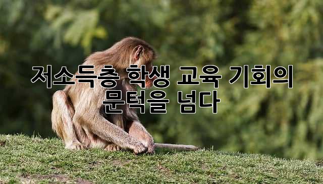 저소득층 학생, 교육 기회의 문턱을 넘다