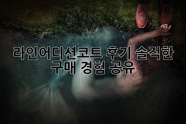 라인어디션코트 후기: 솔직한 구매 경험 공유