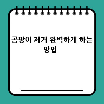  곰팡이 제거 완벽하게 하는 방법 