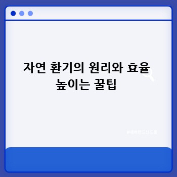 자연 환기의 원리와 효율 높이는 꿀팁